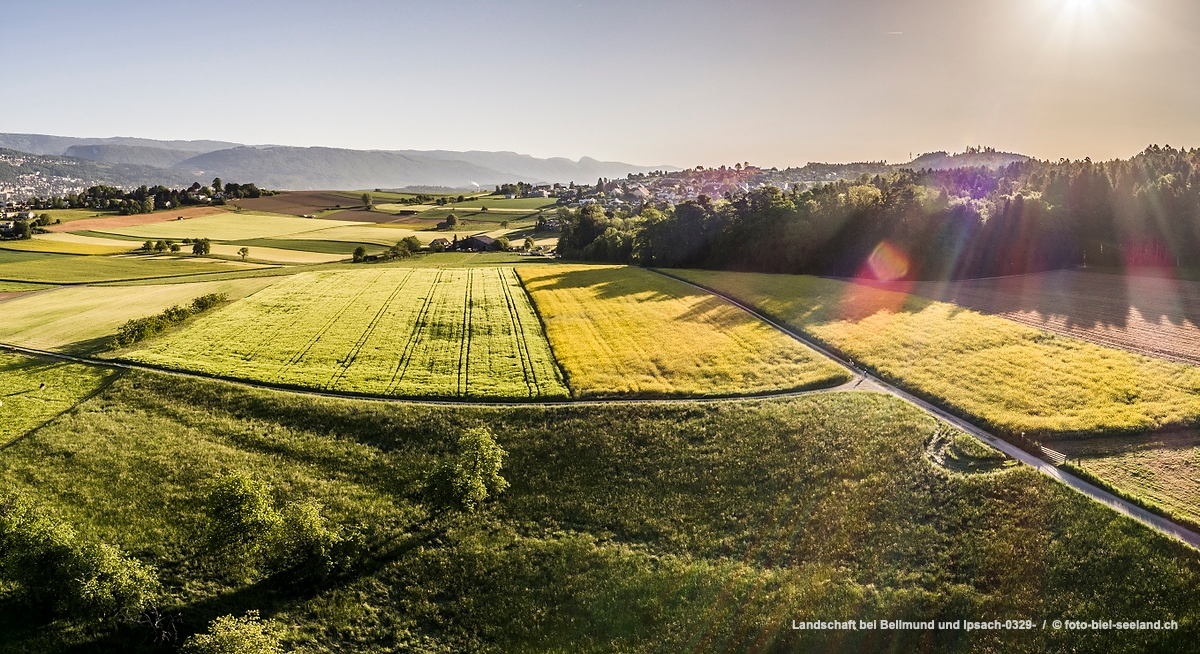 Bildname:  Landschaft bei Bellmund und Ipsach-0329- Felder bei Bellmund und Ipsach im Berner SeelandBildgroesse: 5433  x 2960 px /  46.0 x 25.1 cm (300